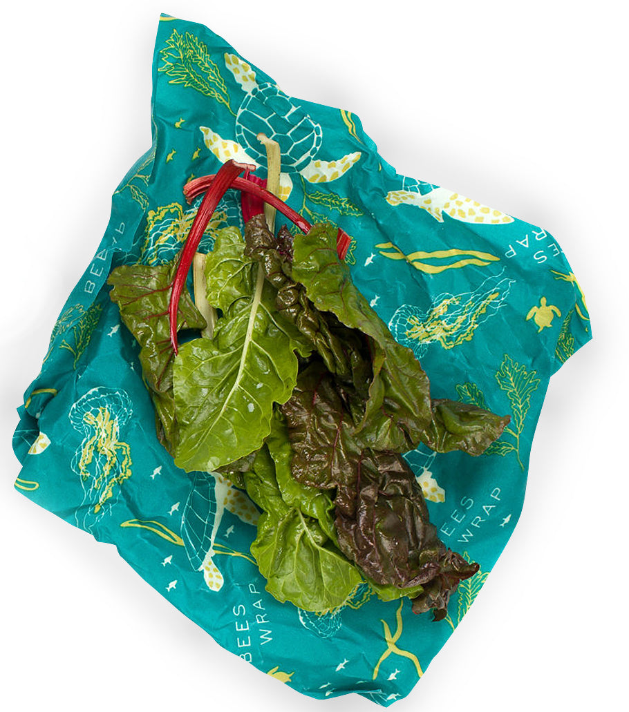 Pack de 3 Tamaños (S,M,L) - Tortugas