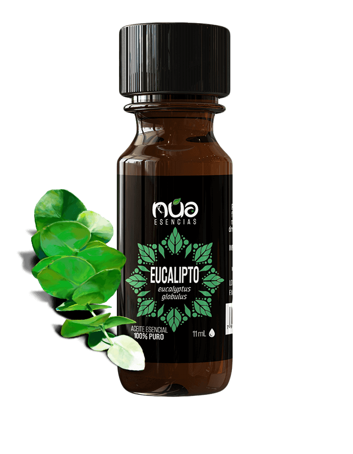 Aceite esencial de eucalipto - 11 ml – Consumo Cuidado