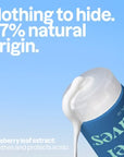 Acondicionador natural Arándano 240 ml