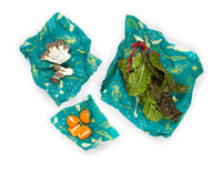 Pack de 3 Tamaños (S,M,L) - Tortugas